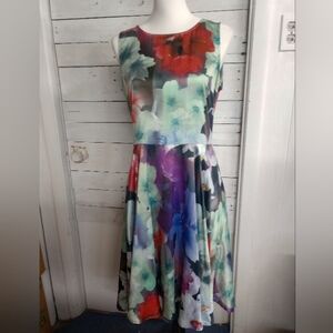 Argenti Knee Length Dress Multicolor Watercolor Floral Sleeveless Size 10.